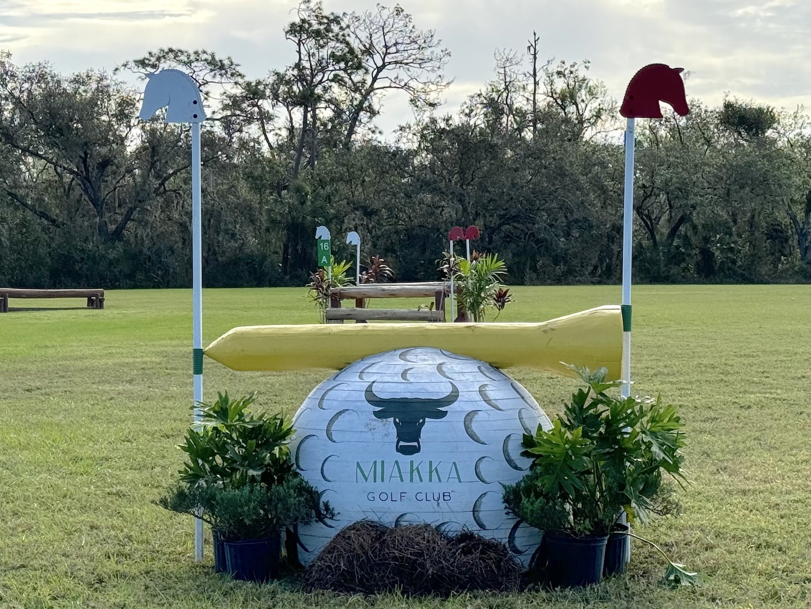 Golf Ball
